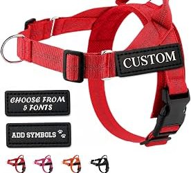 Best No-Rethread Harness Carriers: Custom Fit for Growing Infants