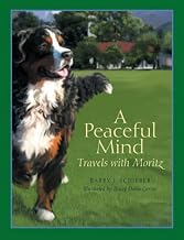 Top Safety Certified Carriers for Peace of Mind